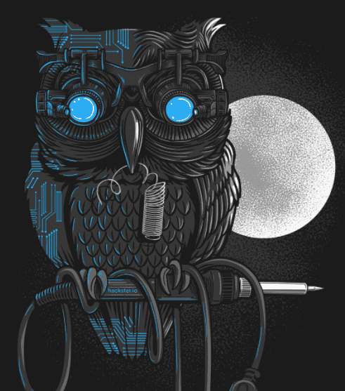 Hacker owl