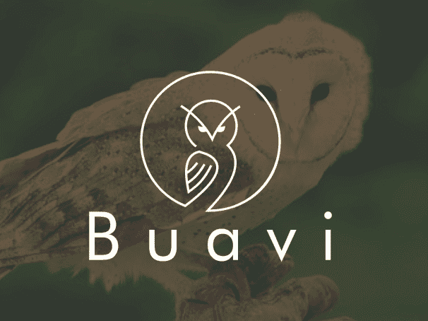 bad logo design of Buavi