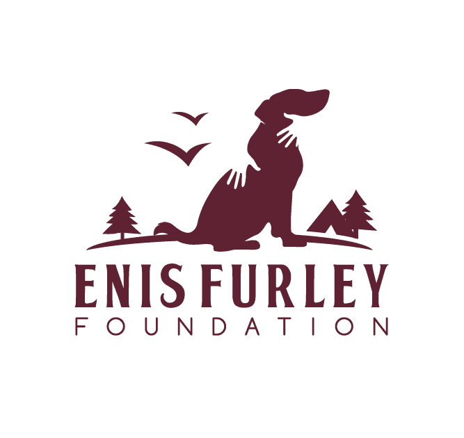 doggy held by hands outside