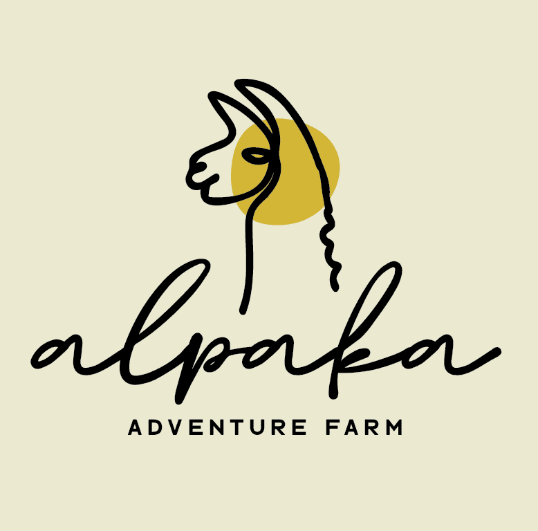 Logo design for alpaka adventure farm