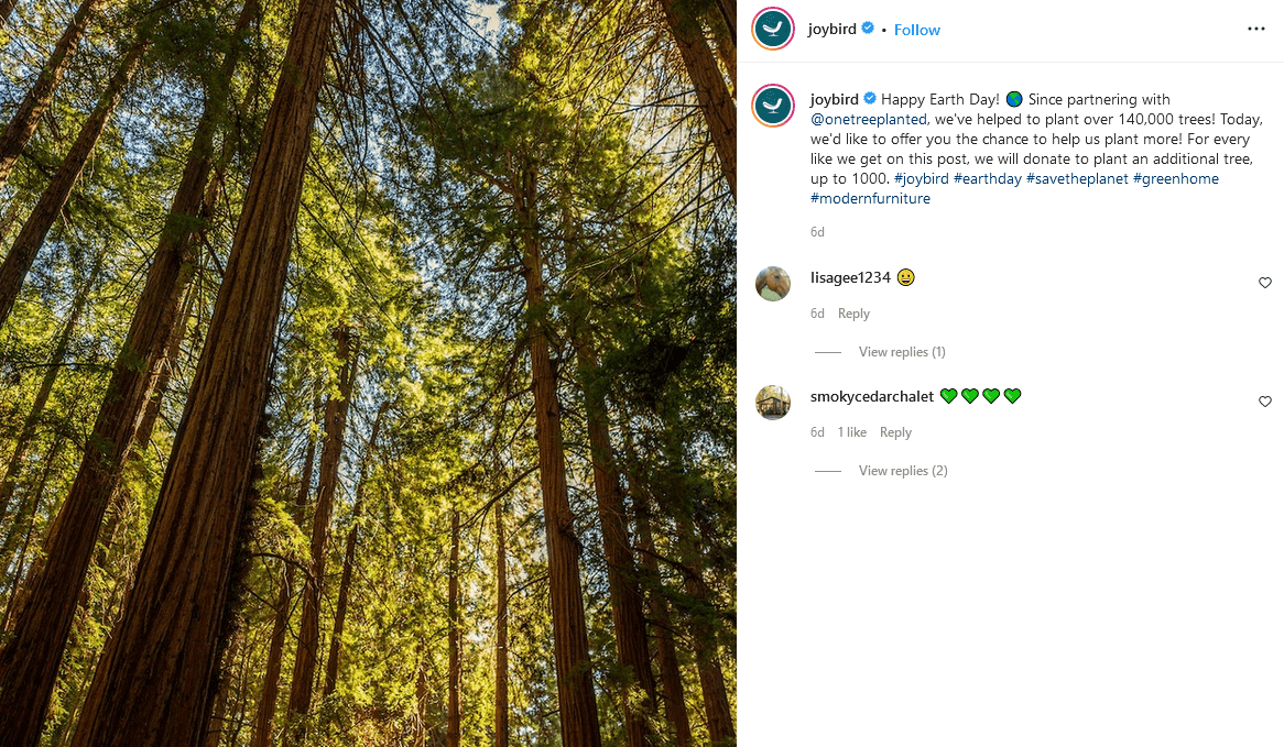 An image of tall trees in the forest