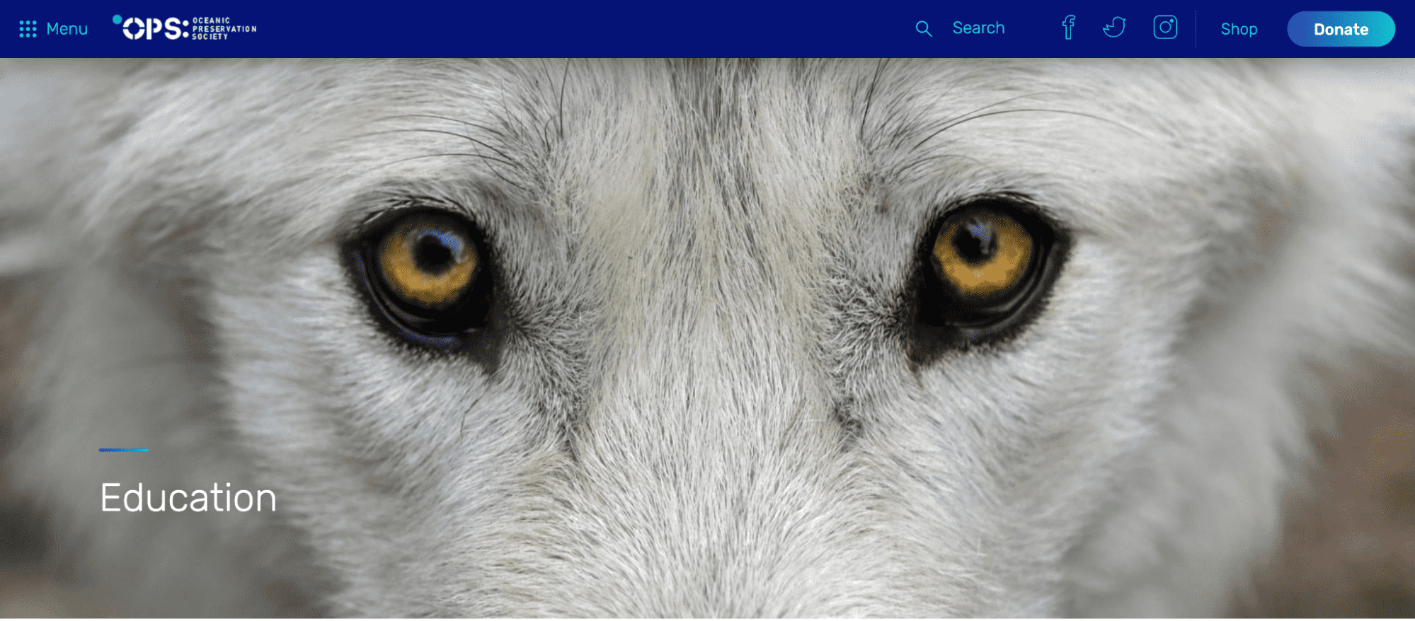 Continuing with the nonprofit, Ocean Preservation Society, their brand uses variations of blue to visually represent their mission