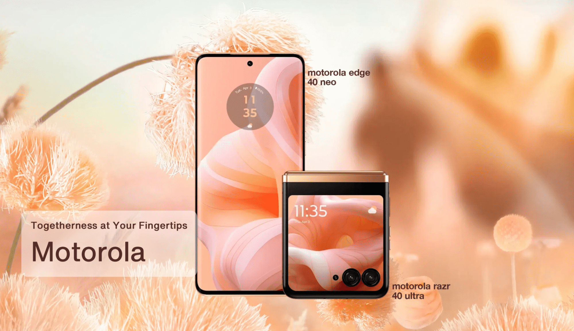 Motorola phones in the Pantone Color of the Year 2024, Peach Fuzz