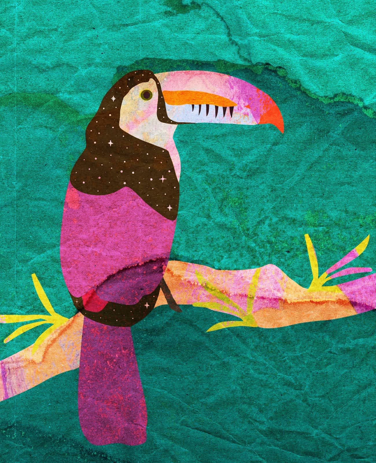 colorful toucan graphic 