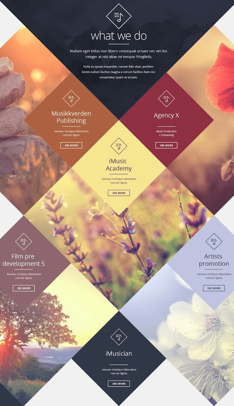 Website design with a soothing color palette