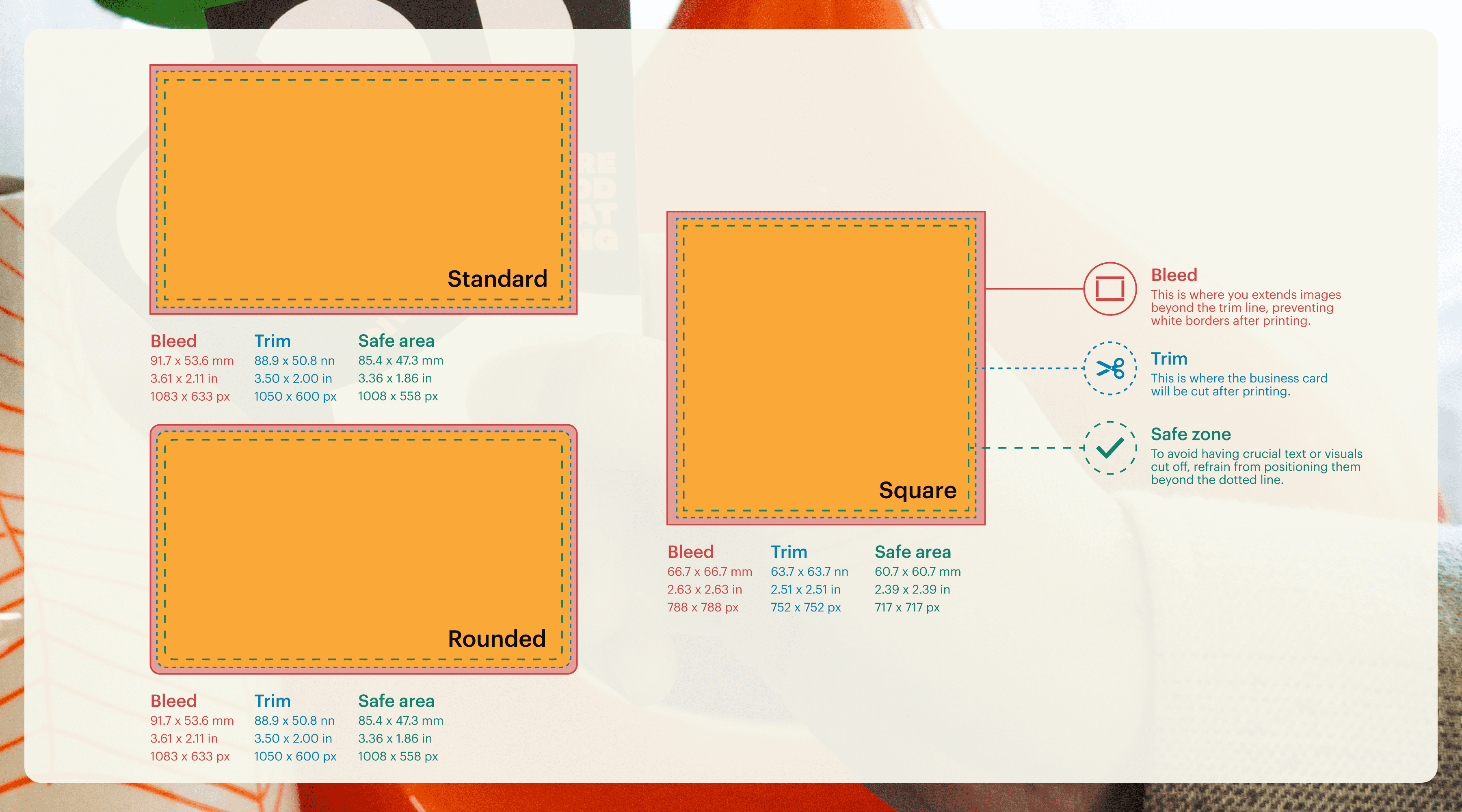 business card dimensions combined infographic
