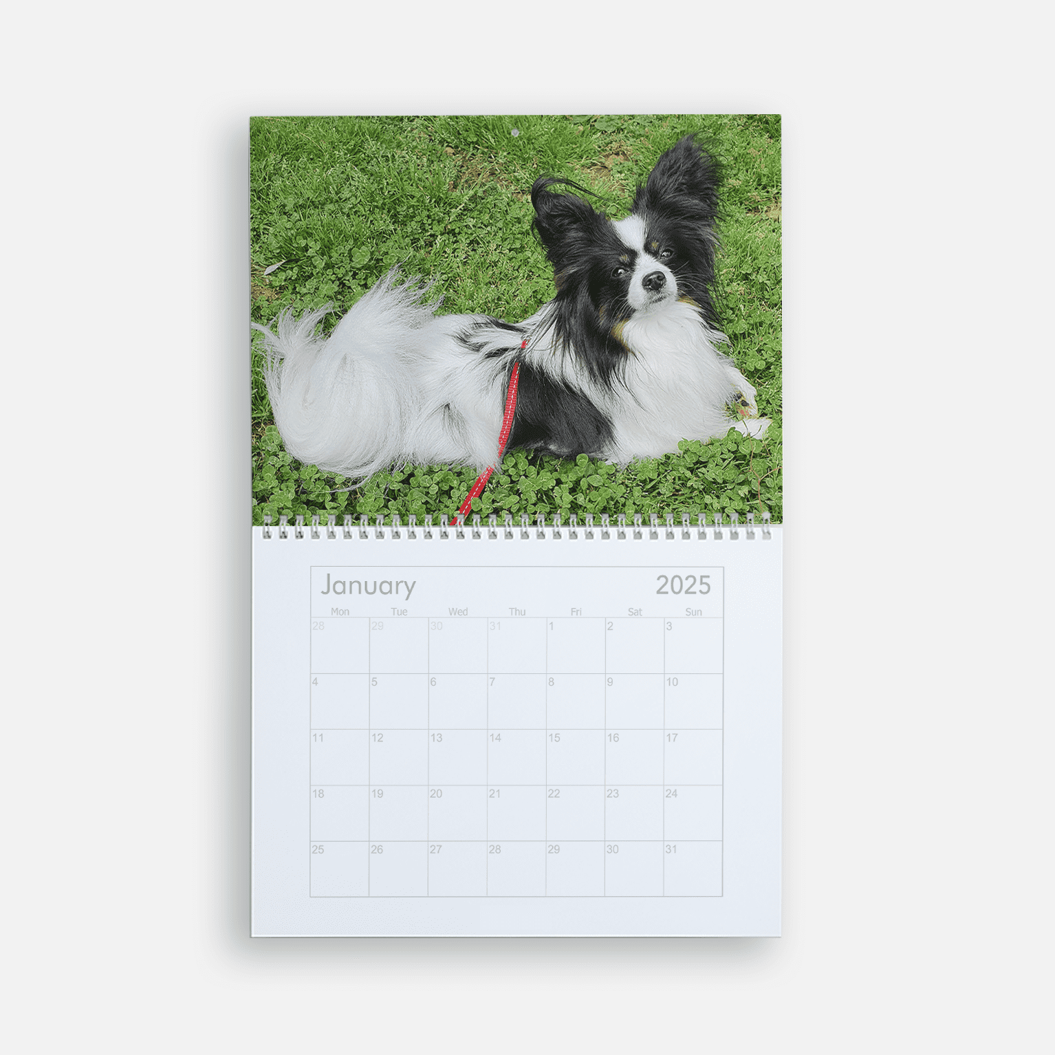 Custom calendar with a picture of a dog for January 2025