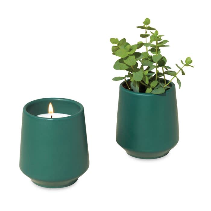 Wedding favors scented candle and grow kit