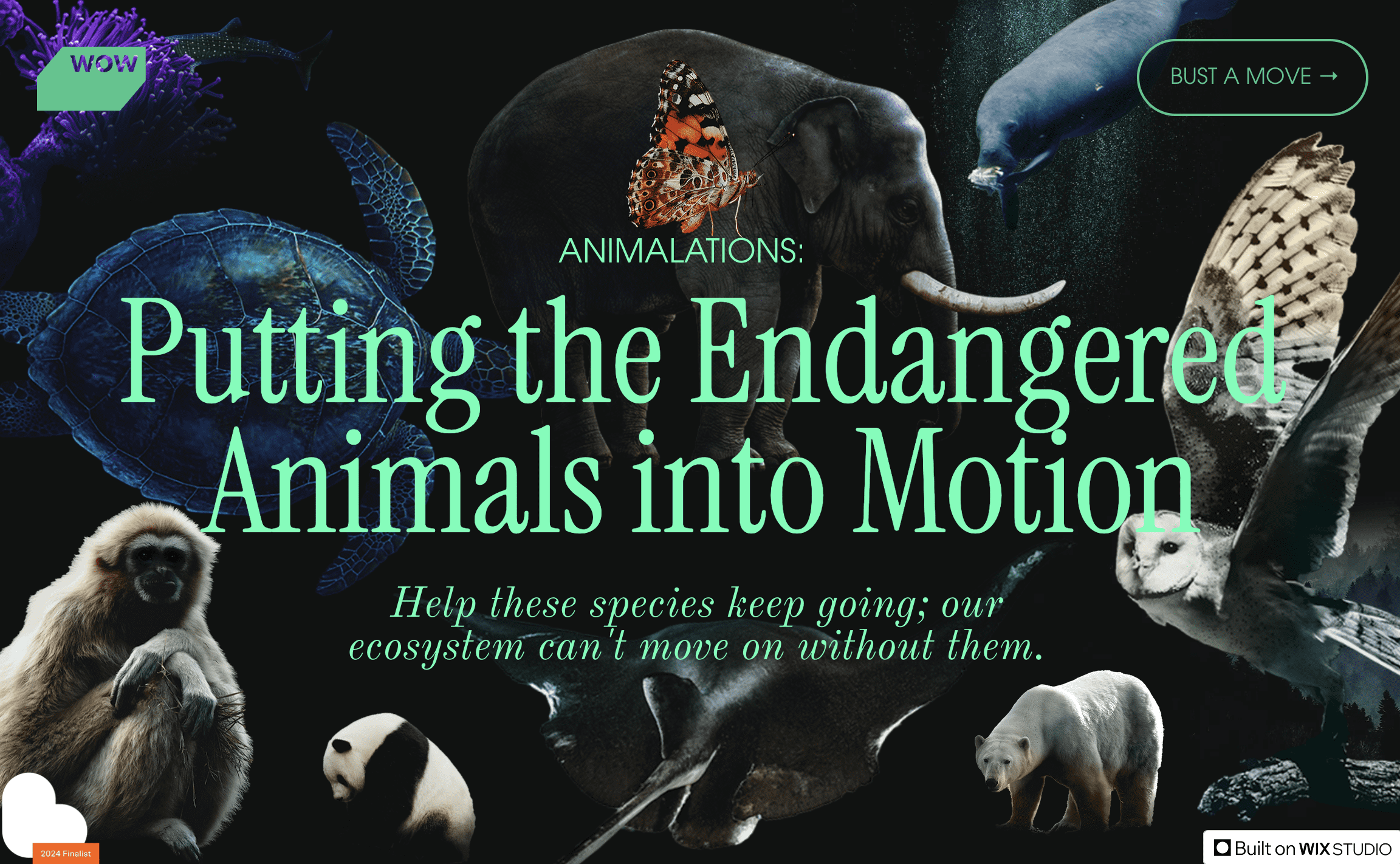 Telling the story and purpose of your website using scrollytelling web design trend