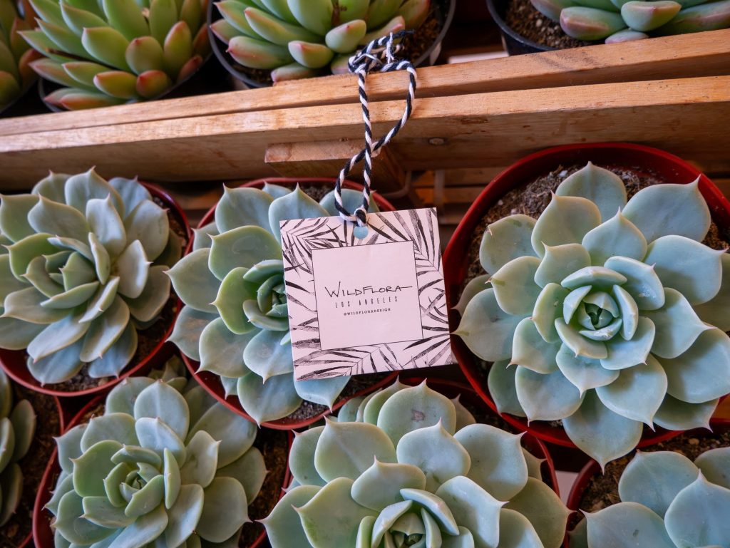 Branding label in front of plants.