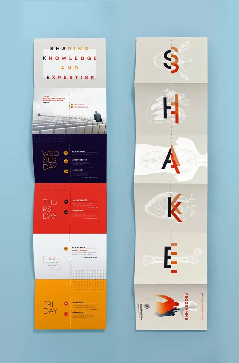 An unfolded, well-designed, colourful brochure